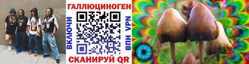закладки Задонск Псилоцибиновые грибы мицелий